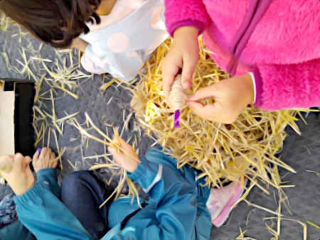 Netzwerk Frühkindliche Kulturelle Bildung